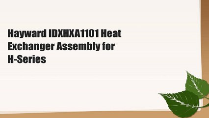 Hayward IDXHXA1101 Heat Exchanger Assembly for H-Series