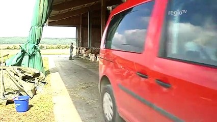 Tierärzte im Einsatz - Teil4 (Regio TV Schwaben)