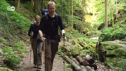 Suiza sajona: a lo largo del Elba | Destino Alemania