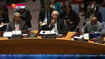 Виталий Чуркин уделал  Саманту Пауэр на заседании Совбеза ООН!
