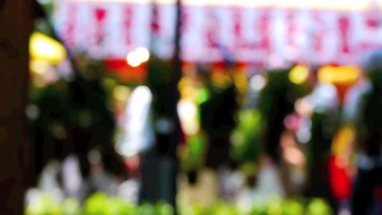 [HD]懐かしい日本の夏の思い出　Memories of summer in Japan 花の名所案内