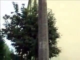 Tysiące karaluchów opanowało mieszkanie