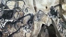 The Cave Art Paintings of the Chauvet Cave