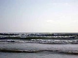 Some Surfers at Torrey Pines Beach