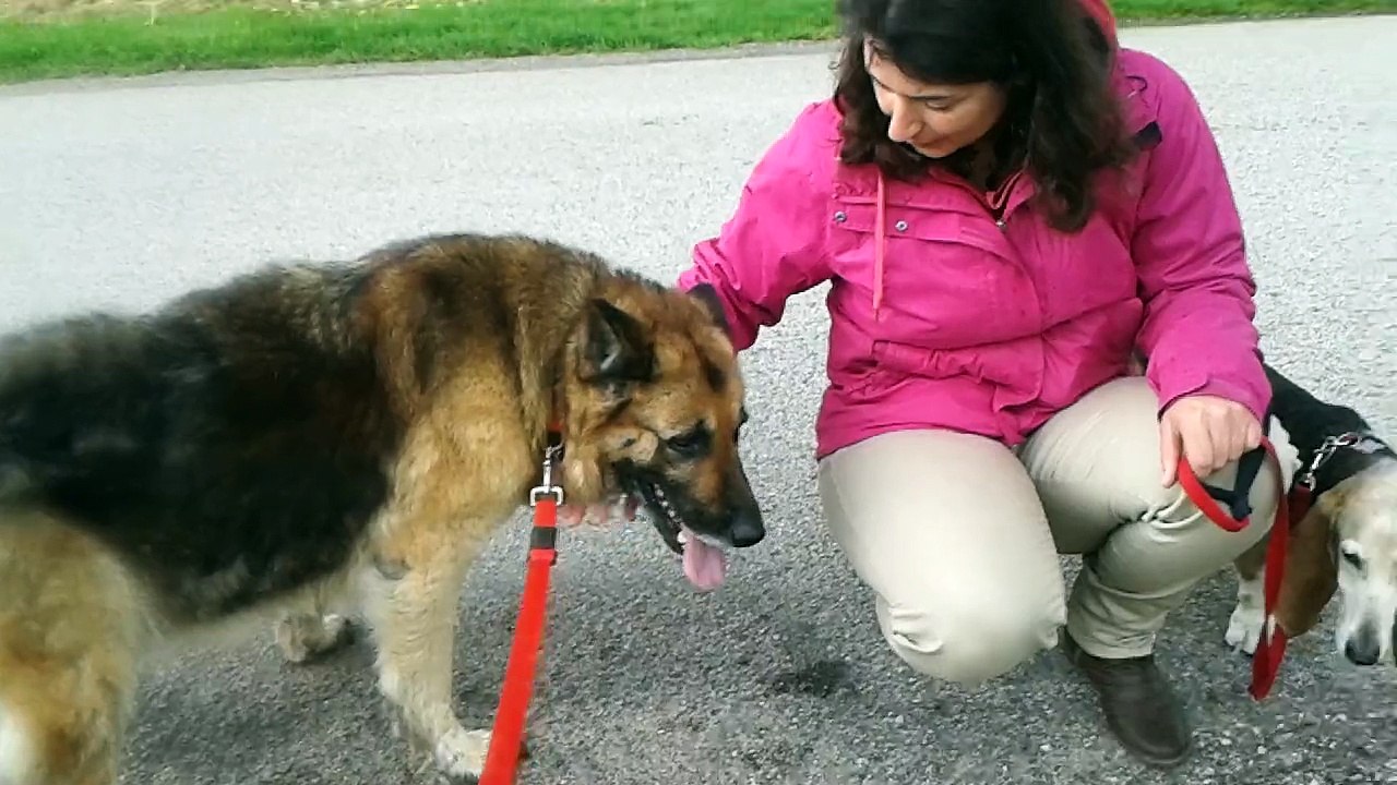 Belle rencontre Verone