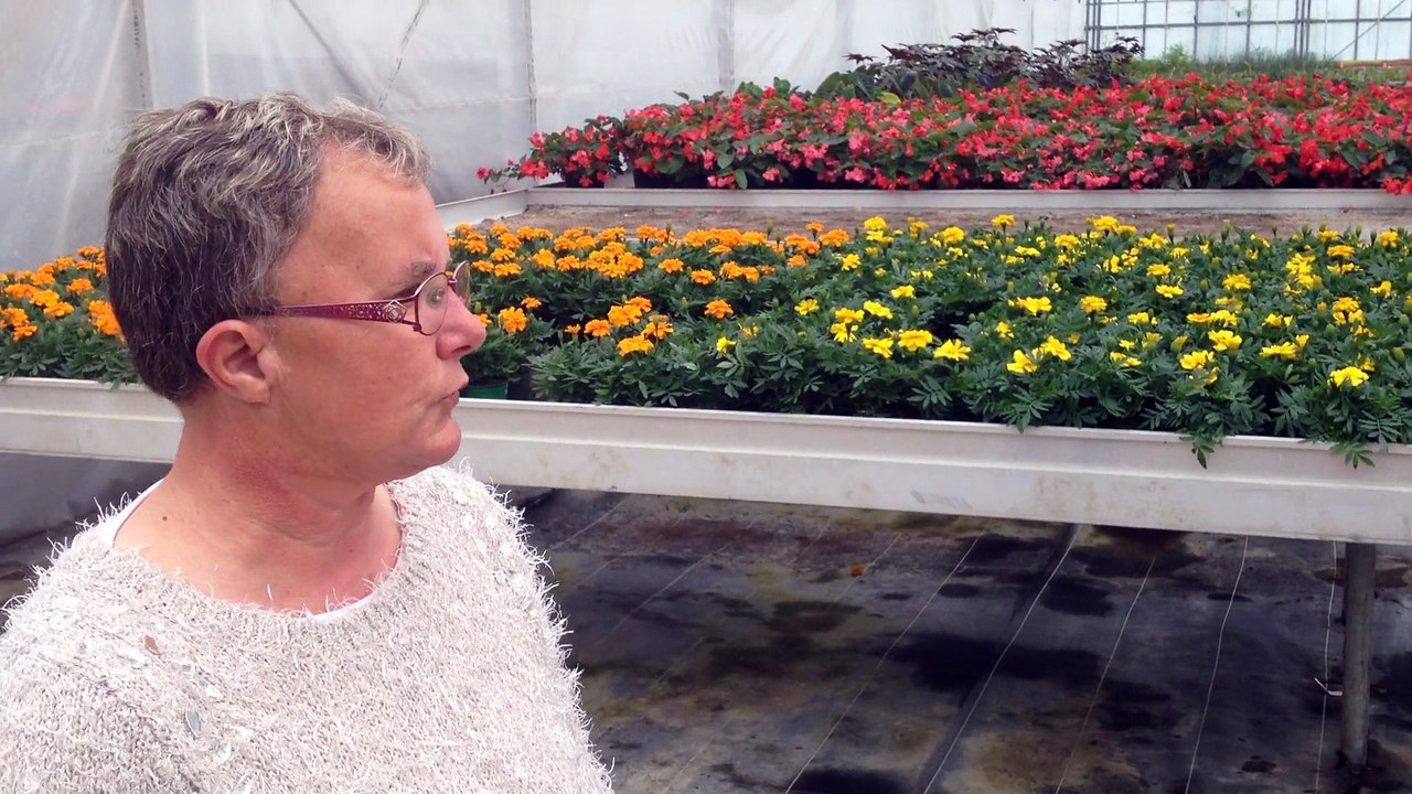 Portes ouvertes serres municipales 2015