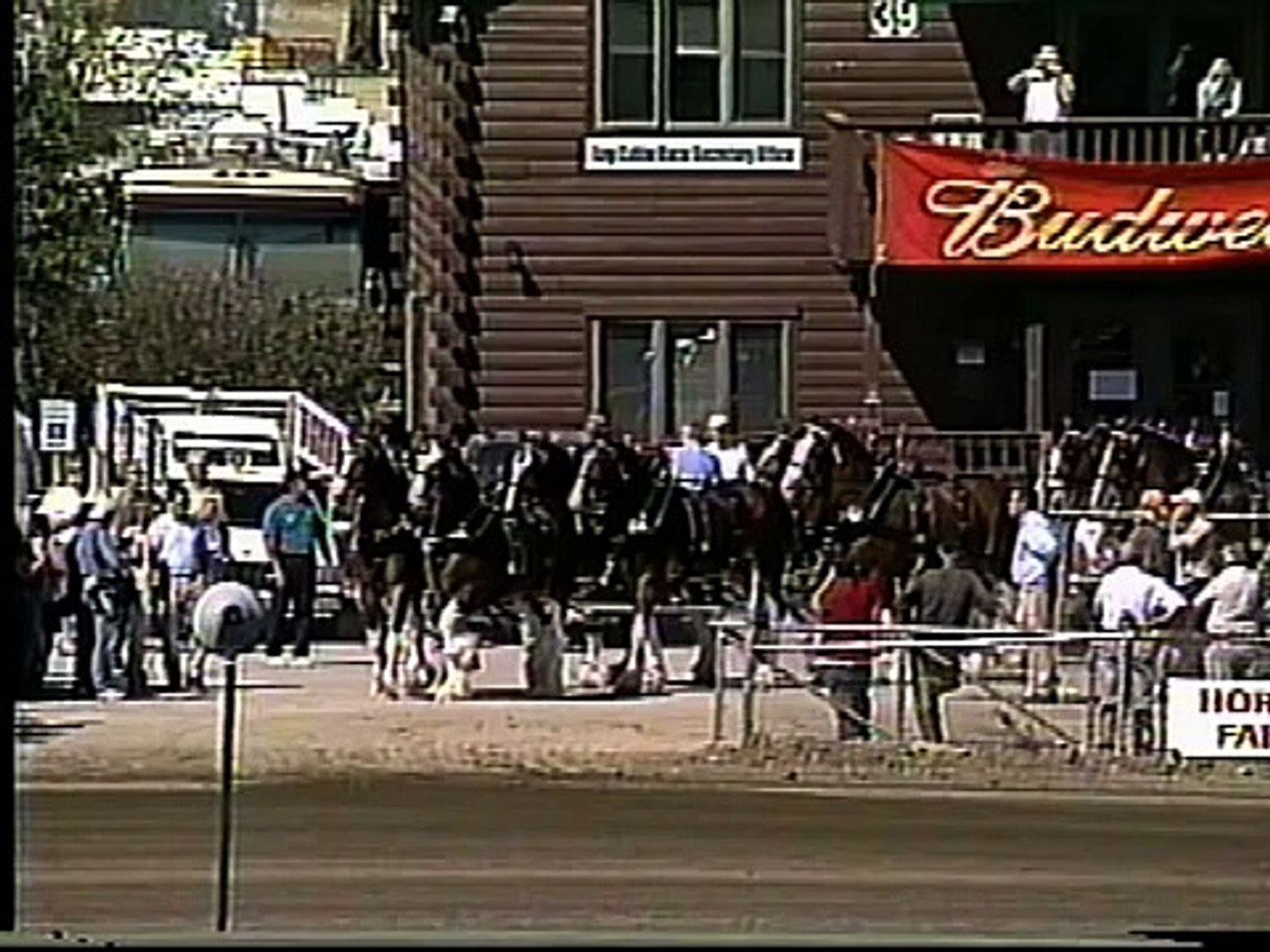 ⁣Budweiser Clydesdales at 2008 Little Brown Jug