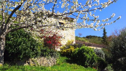 A VENDRE Propriété à Tourrettes-Sur-Loup - Vue Mer panoramique - 180 m²