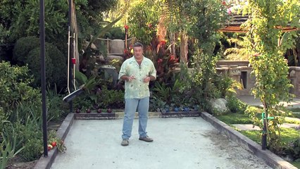 Bocce Ball Court Design & Game Rules