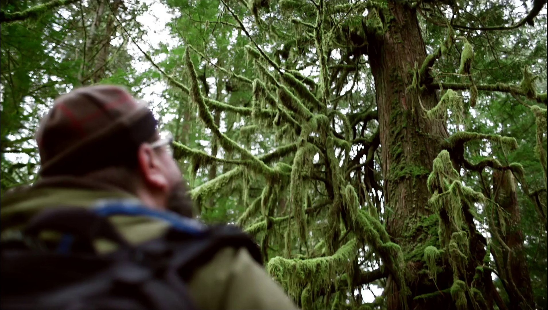 ⁣Destination British Columbia : Walking Through Words in British Columbia