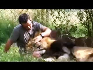 Kevin Richardson,animals dad