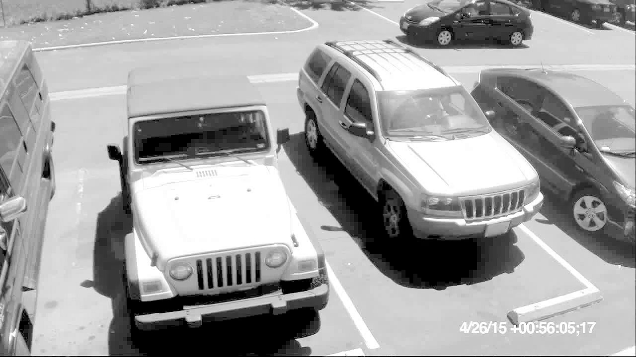 Old lady smashes young punk's windshield