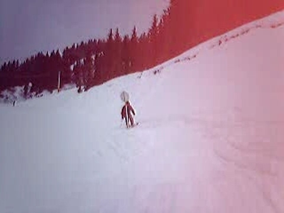 Bonne chute au Ski !!!