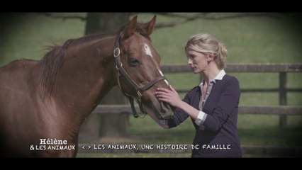 Hélène et les animaux : dressage de chevaux de courses