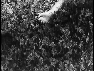 El Cebo (Es Geschah am Hellichten Tag) (Ladislao Vajda, España, Alemania, 1958) - Trailer