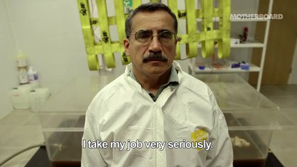 (NSFW) Still Life: Reviving the Dead With DIY Forensics (Trailer)