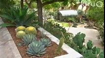 Jeff Pavlat succulent garden design: Central Texas Gardener