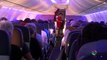 Virgin Airlines cabin crew: reality video blog