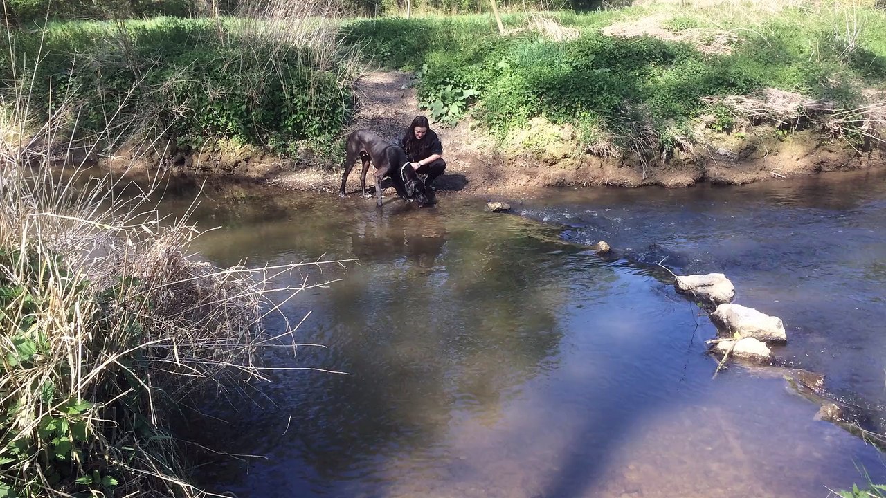 Hitac et l'eau: première expérience de traversée de ruisseau