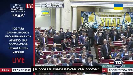 Ukraine - Qui vote les lois après maïdan ?