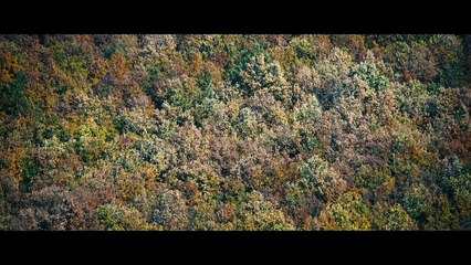 The Duke of Burgundy (2014) - Bande Annonce / Trailer [VOST-HD]