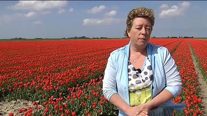 Het Weer: Harma bie de boer [4-5-2015] - RTV Noord