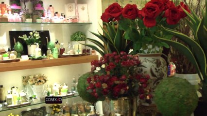 CONEXAO PGM 117 BL 01