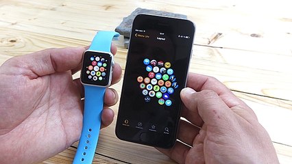 Apple Watch: So funktionierts !