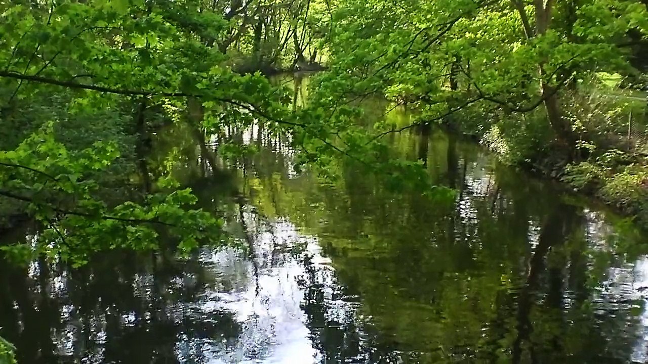 Wasser
