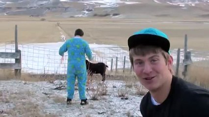 Kid Ropes Fainting Goat Very Funny!