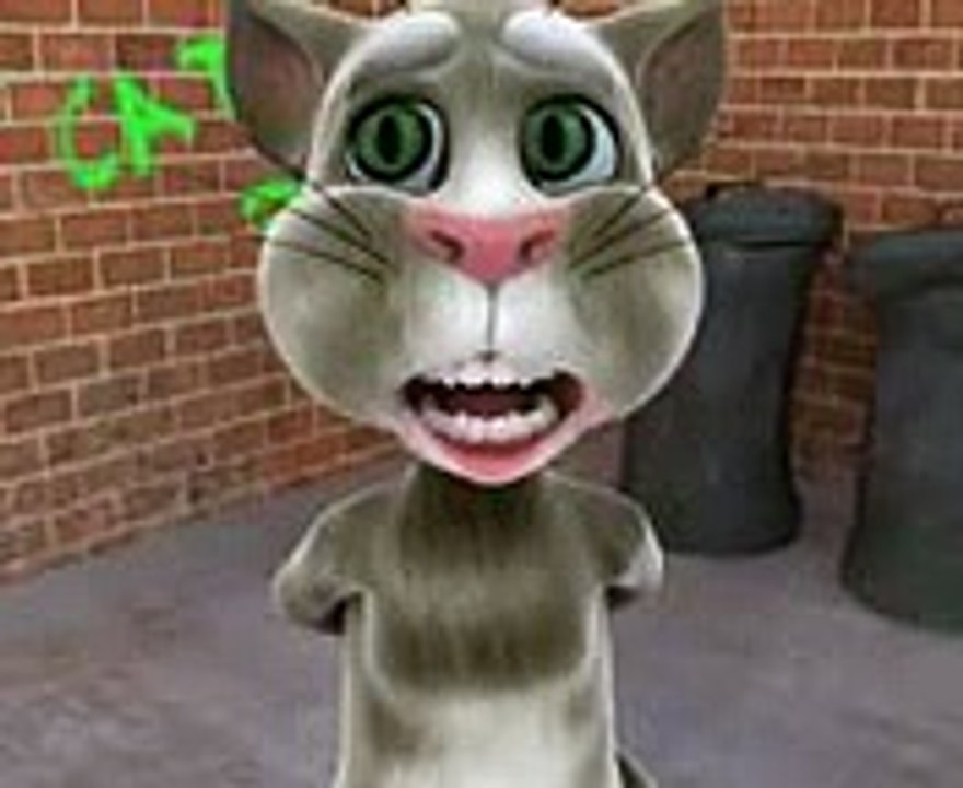 Cat song