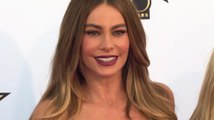 Sofia Vergara Breaks Silence on Embryo Battle with Nick Loeb