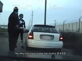 Dumb guy dressed as Black Power Ranger arrested by cop