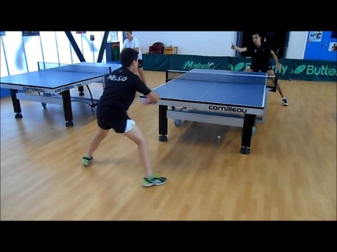 STAGE PRINTEMPS 2015 ALES SO Tennis de Table