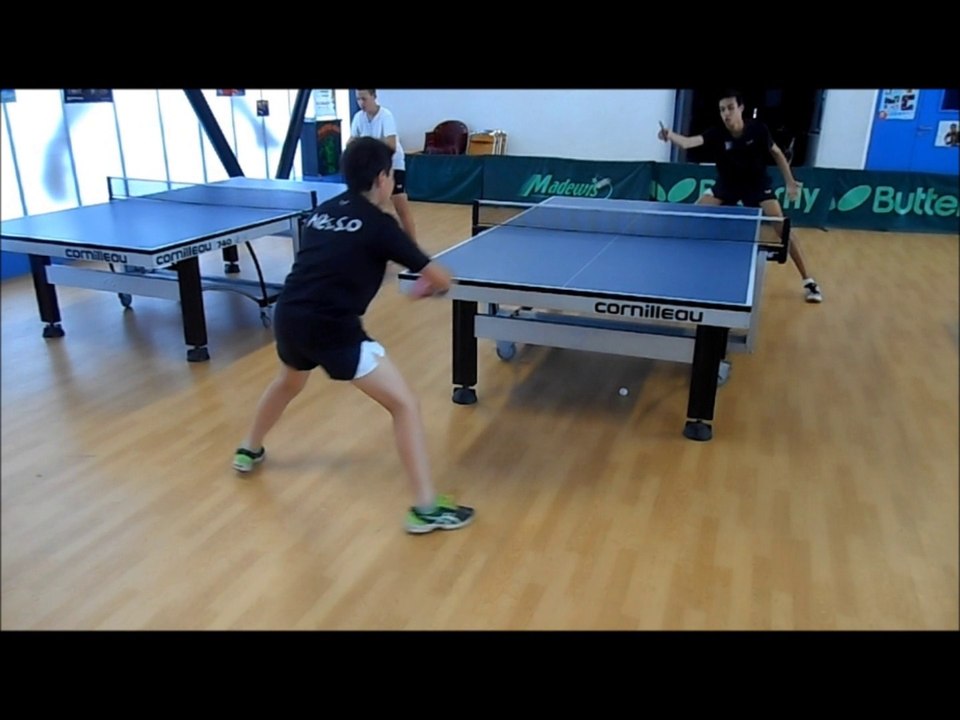 STAGE PRINTEMPS 2015 ALES SO Tennis de Table