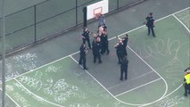 Crazy Shirtless man removed from basketball hoop by 15 cops!