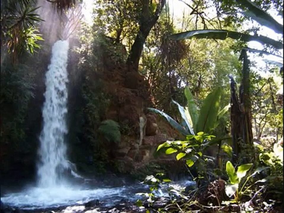 "Huapango de Moncayo"  Mariachi Vargas de Tecalitlan  .