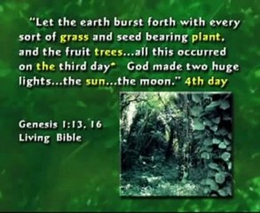 Evolution & Origins: How Did We Begin? 🌱