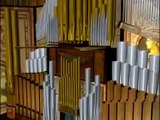 The Physics of the Pipe Organ