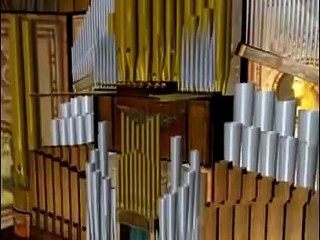 The Physics of the Pipe Organ