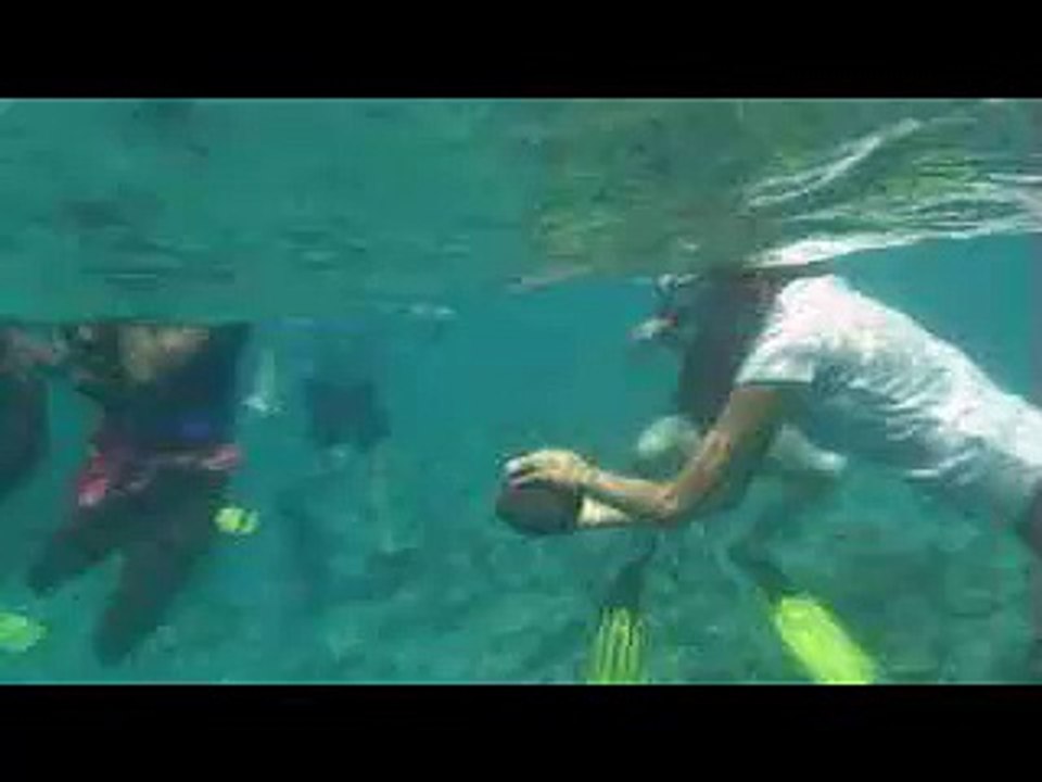 Marine Biology Lesson