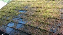 Roof Rinsing, Moss Cleaning in Portland, Milwaukie, Gladstone, Tigard