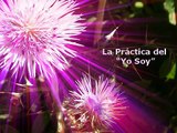 LA PRÁCTICA DEL YO SOY (Libro de Oro de Saint Germain)