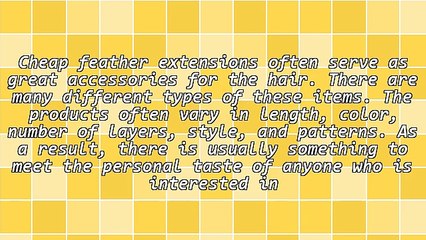 Gorgeous Cheap Feather Extensions Wonderful Accessory To Give As Gifts To Self Or Others