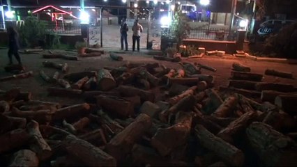 Odun yüklü kamyon freni patlayarak devrildi: 1 yaralı