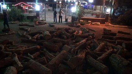 Odun yüklü kamyon freni patlayarak devrildi: 1 yaralı