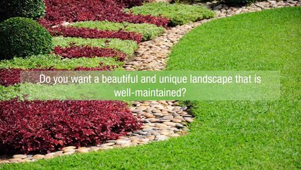 How To Showcase A Lush Lawn And Beautiful Garden