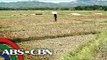Drought destroys crops in Ilocos Norte; Iligan City experiences water shortage