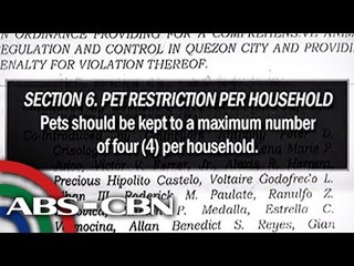 4 na aso at pusa lang kada bahay sa QC