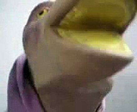 Musharraf funny speech Video Clip MastiBox Best Funny Clips Best Clips Amaizing videos Amaizing Clips Funny videos Funny